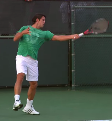 Fernando VERDASCO Forehand